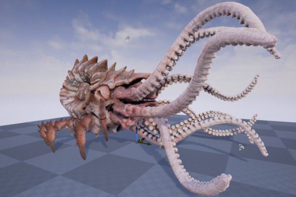 Kraken рабочий